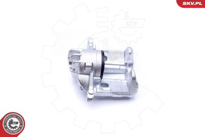 Brake Caliper 42SKV781