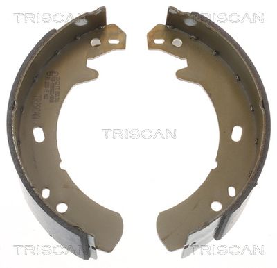 TRISCAN Bremsbackensatz, Feststellbremse