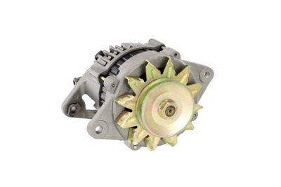 GENERATOR / ALTERNATOR REMANTE 011003000134R 53
