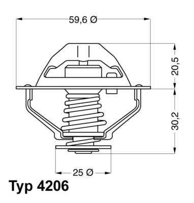 TERMOSTAT LICHID RACIRE