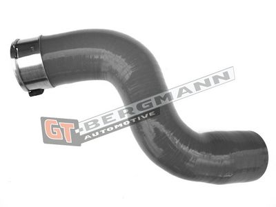 GT-BERGMANN Automotive Kompresoriaus padavimo žarna