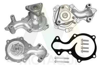 POMPă DE APă RăCIRE MOTOR