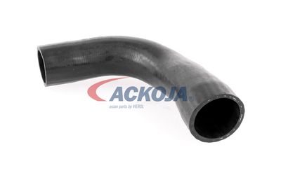 FURTUN EAR SUPRAALIMENTARE ACKOJA A389600 16