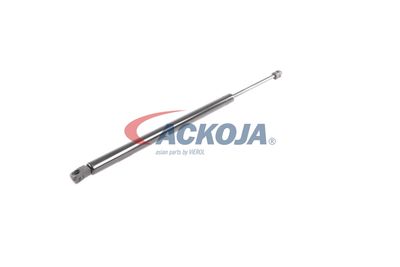 AMORTIZOR PORTBAGAJ ACKOJA A260098 55