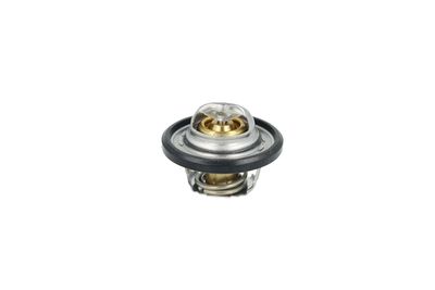 TERMOSTAT LICHID RACIRE NRF 725544 2