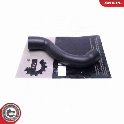 FURTUN EAR SUPRAALIMENTARE