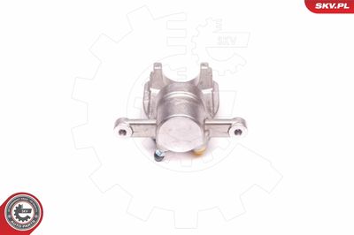 Brake Caliper 23SKV774