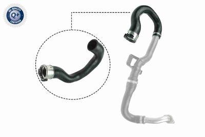 FURTUN EAR SUPRAALIMENTARE