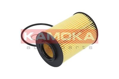 Oil Filter F107901