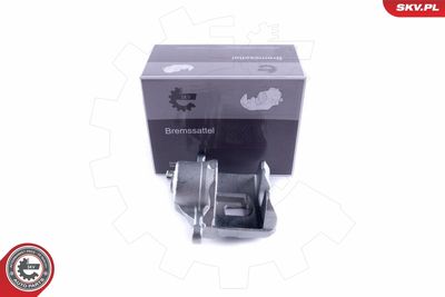 Brake Caliper 50SKV772