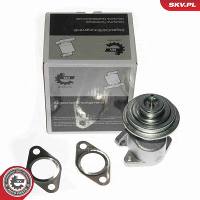 SUPAPA EGR ESEN SKV 14SKV049