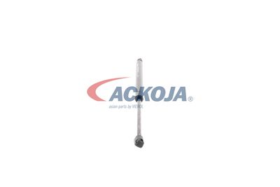 AMORTIZOR PORTBAGAJ ACKOJA A520099 25