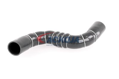 FURTUN EAR SUPRAALIMENTARE ACKOJA A389602 57