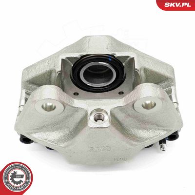 Brake Caliper 67SKV231