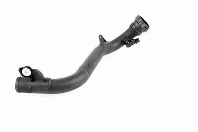 FURTUN EAR SUPRAALIMENTARE ACKOJA A380387 8