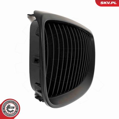 GRILA RADIATOR ESEN SKV 66SKV105 9