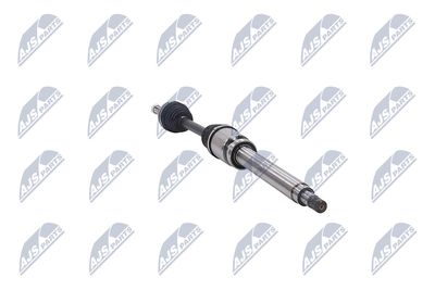 PLANETARA NTY NPWFR046 31