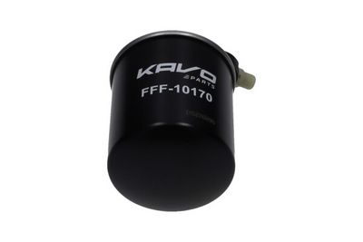 FILTRU COMBUSTIBIL AMC Filter FFF10170