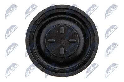 CAPAC CULBUTOR NTY BPZCT005 6