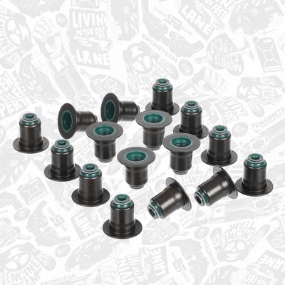 SET GARNITURI AX SUPAPE ET ENGINETEAM TM0060 1