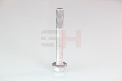 SURUB CAPAT DE AX GH GH391580 51