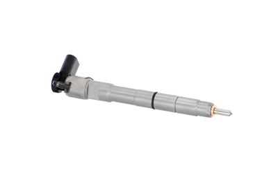 INJECTOR REMANTE 002003001399R 45
