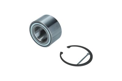 Rato guolio komplektas