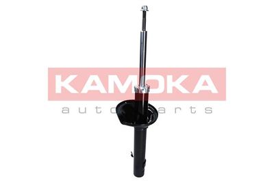 Shock Absorber 2000281