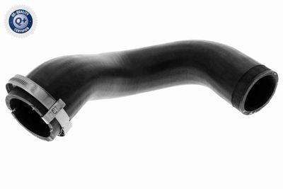 FURTUN EAR SUPRAALIMENTARE