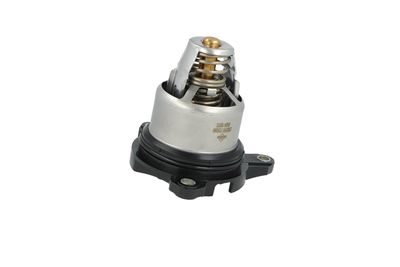TERMOSTAT LICHID RACIRE NRF 725399 42