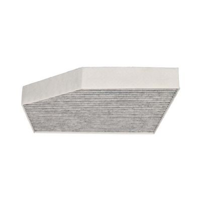 FILTRU AER HABITACLU DR!VE+ DP1110120169 4