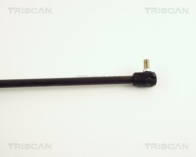 AMORTIZOR PORTBAGAJ TRISCAN 871050210 2