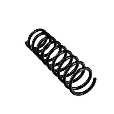 ARC SPIRAL EIBACH R10625 11