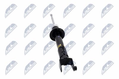 AMORTIZOR NTY ACH119 15