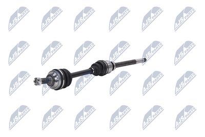 PLANETARA NTY NPWCT059 19