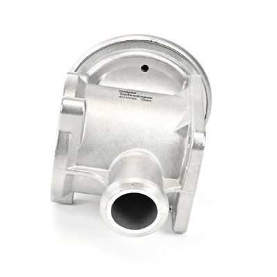 AGR-VENTIL DELPHI EG1043312B1 19