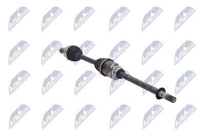 PLANETARA NTY NPWFT100 33