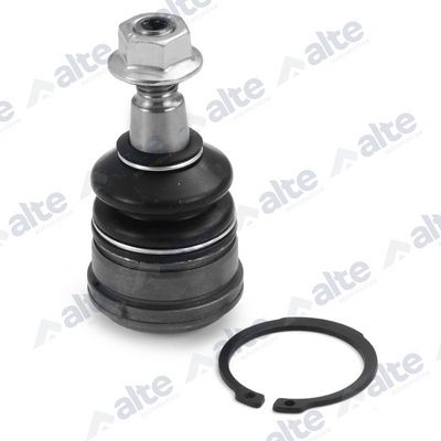 ARTICULATIE SARCINA/GHIDARE