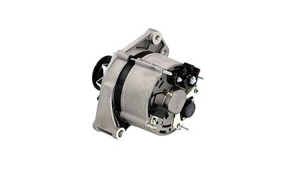 GENERATOR / ALTERNATOR REMANTE 011003000270R 19
