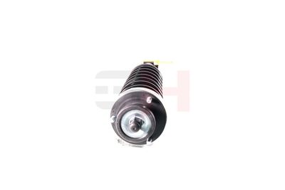 ANSAMBLU TELESCOP ARC GH GH331591C02 19