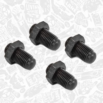 SURUB AJUSTARE POMPA INJECTIE ET ENGINETEAM BS0030VR2 1