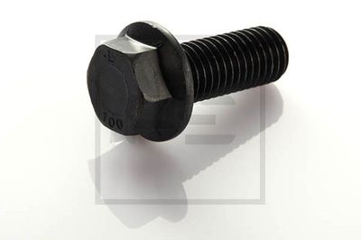 Surub PE Automotive 28 05 002 1 302