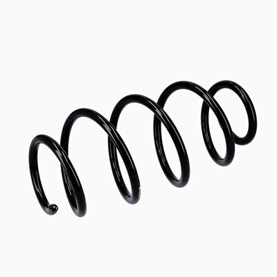 ARC SPIRAL EIBACH R10302 5