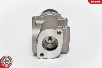 EGR Valve 14SKV076