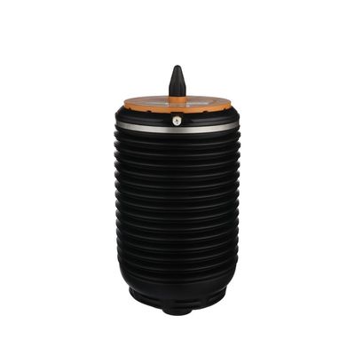 LUFTFEDER FAHRWERK Arnott A3892 4