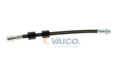 FURTUN FRANA VAICO V251328 57