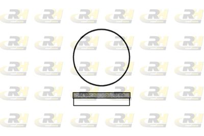 Комплект тормозных колодок, дисковый тормоз ROADHOUSE 2070.00 для CITROËN DYANE