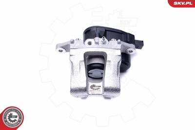 Brake Caliper 46SKV834