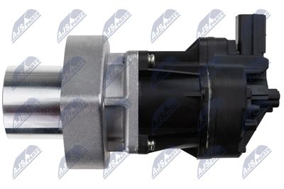 SUPAPA EGR NTY EGRPL029 3