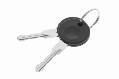 TüRGRIFF VAICO V106144 2